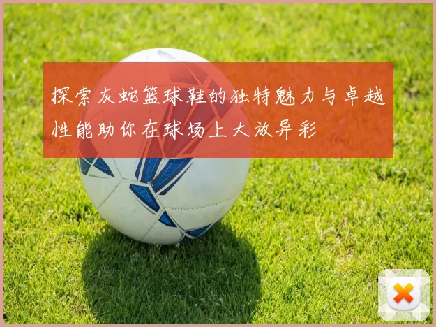 探索灰蛇篮球鞋的独特魅力与卓越性能助你在球场上大放异彩