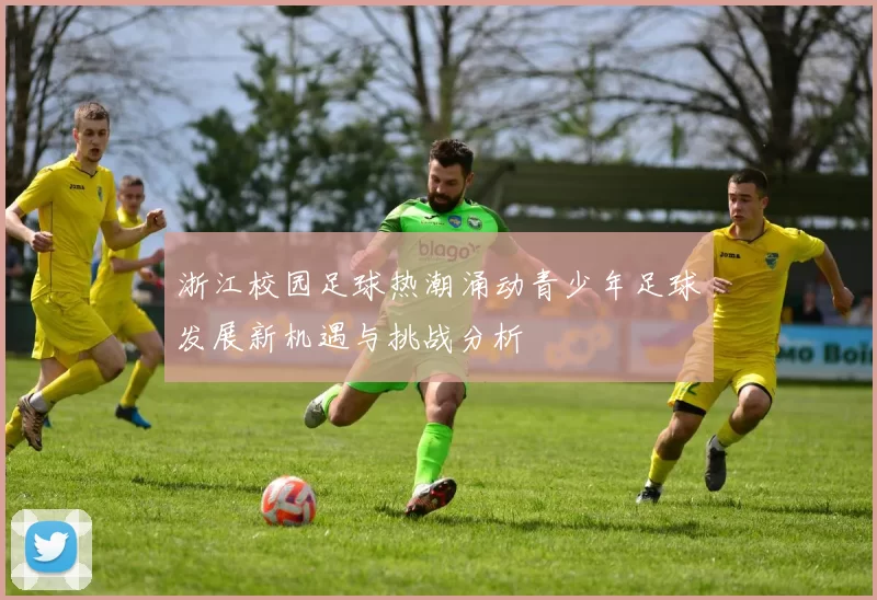 浙江校园足球热潮涌动青少年足球发展新机遇与挑战分析